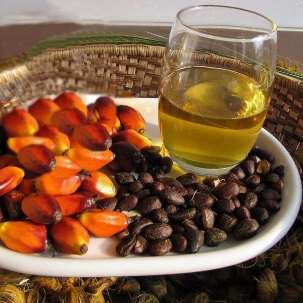 palm kernel oil - pko bulk nigeria