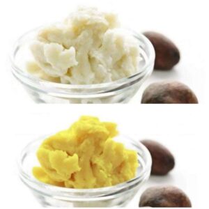 Ivory vs Yellow Shea Butter Difference