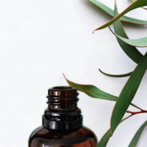eucalyptus essential oil - buy in nigeria