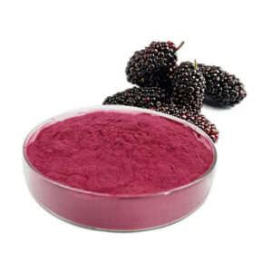 Mulberry Fruit Extract Powder – Pink