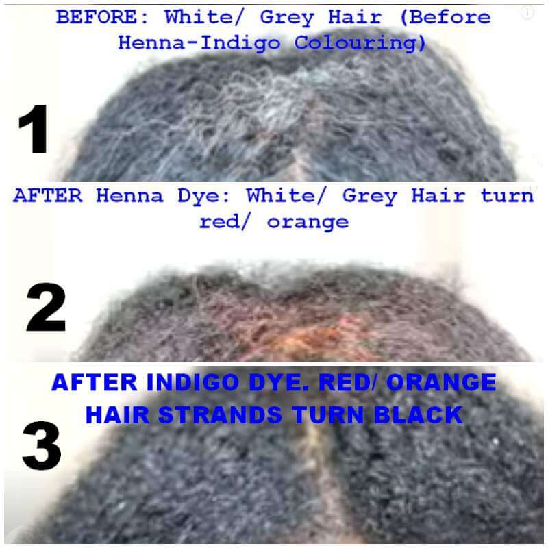 How to Dye Gray Hair or Beard Black Naturally With Henna and Indigo (Steps  and Video Tutorial) - Elsie Organics - Formulation Ingredients Shop Nigeria