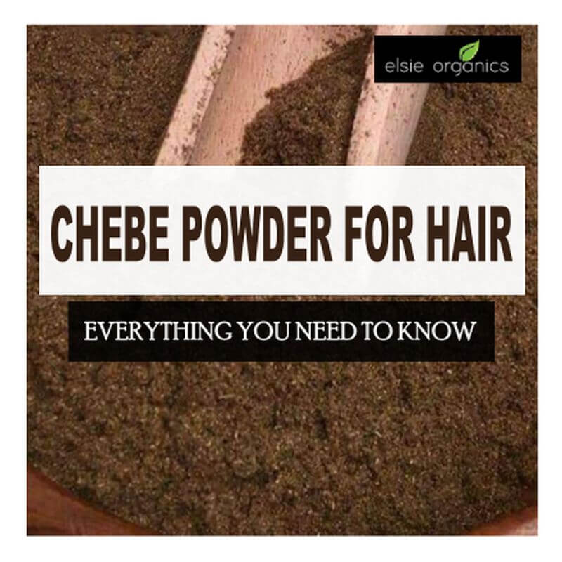 You are currently viewing Chebe Powder: Everything You Need to Know