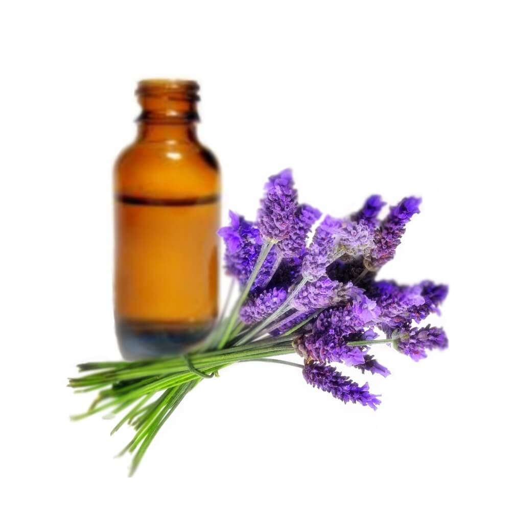 buy lavender fragrance oil in nigeria