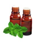 buy peppermint essential oil in nigeria