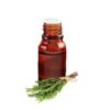 Rosemary Essential Oil