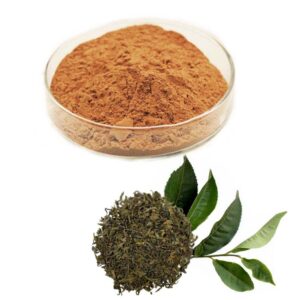 Green Tea Powder Extract (Green Tea Leaves Extract)